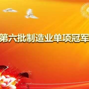 格科微上海荣获“第六批制造业单项冠军企业”称号