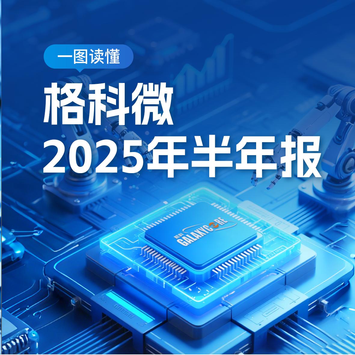 一图读懂ac米兰官网中文网站2025年半年报